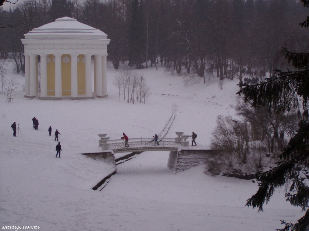 Зимняя прогулка - vadim 