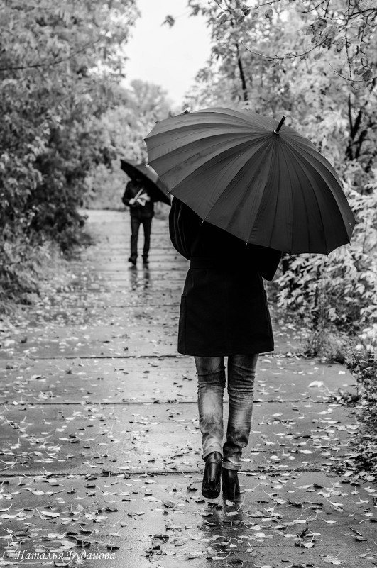 Люди с зонтами - Наталья Буданова