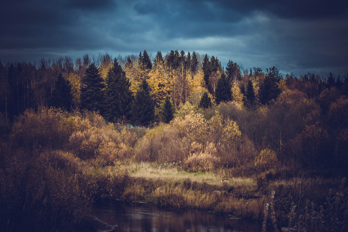 Осенний пейзаж. - Лариса Сафонова