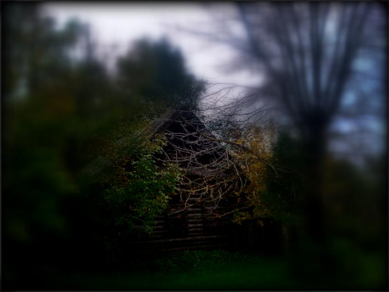 старый дом - лена григорьева
