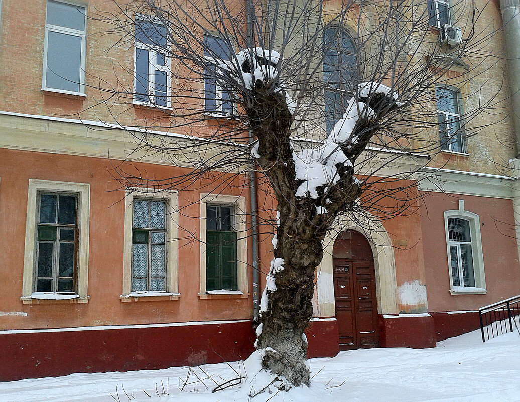 *** - Валентина Береснева