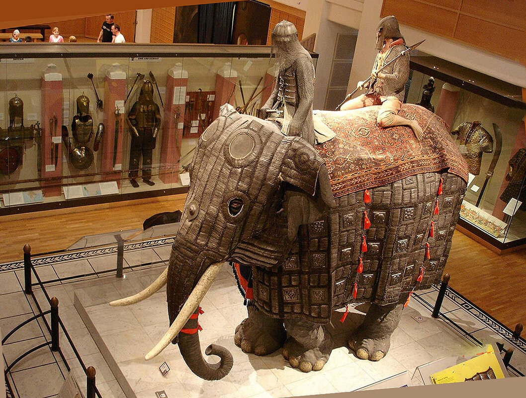 Боевой слон в музее оружия в Лидсе (Англия) - Тамара Бедай 