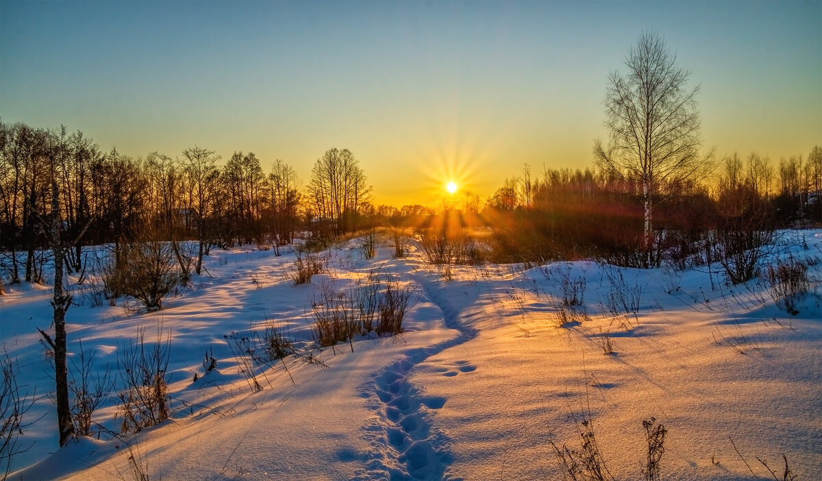 Мороз vs. Солнца # 12 - Андрей Дворников