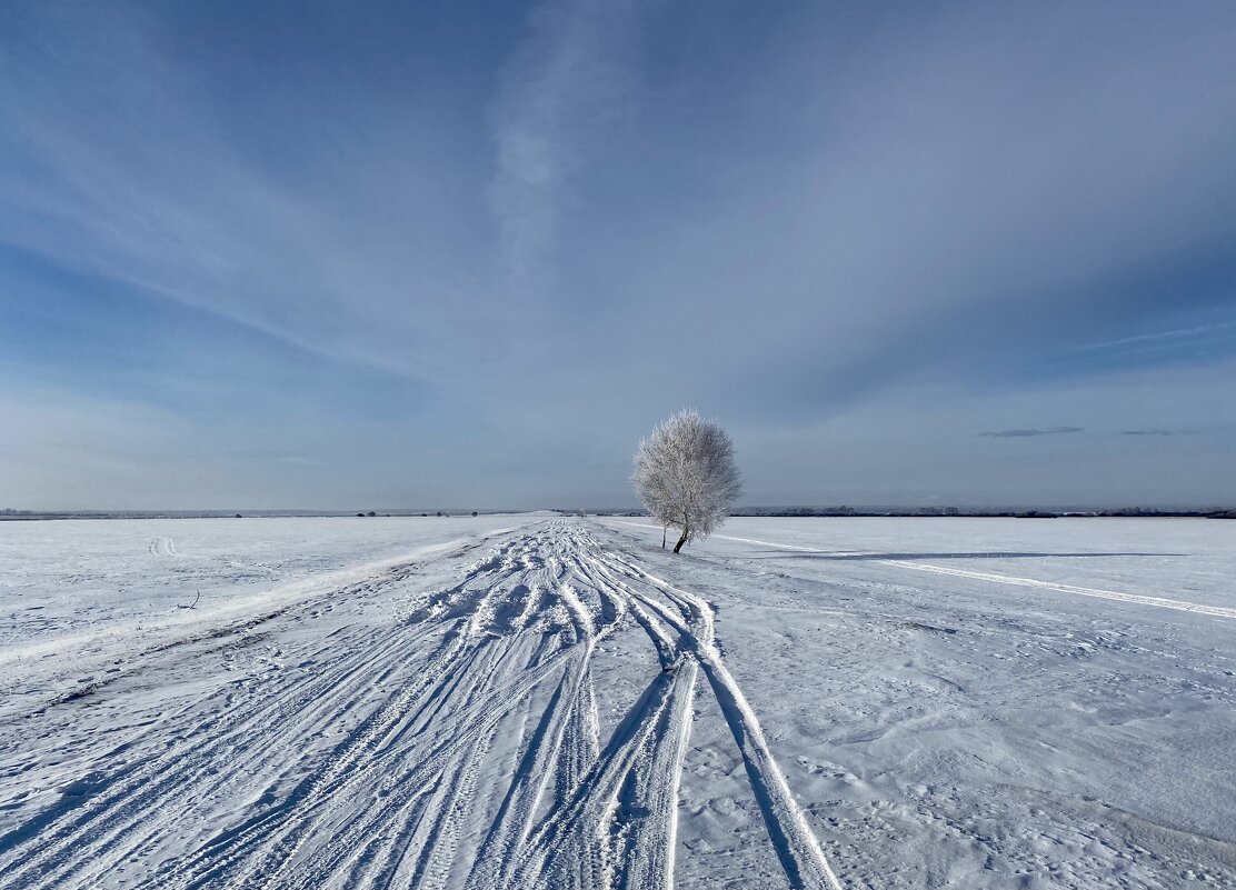 Зимне-полевой минимализм. - Сергей Адигамов