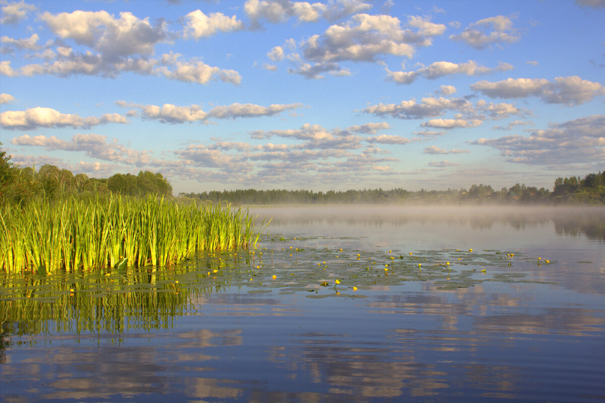 Утро на озере - Сергей Даденков 