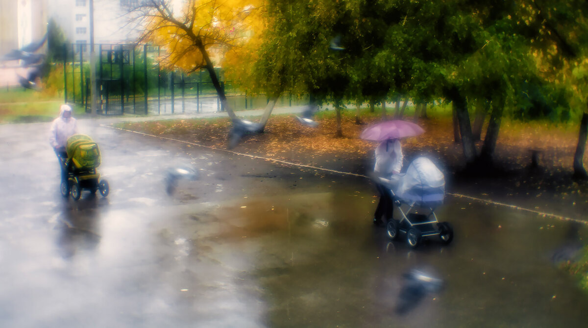 Про цвет, прогулки и полёты под дождём в ахромате - Андрей Селиванов