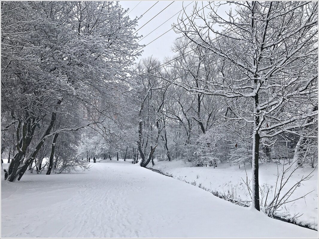 Зима в парке. - Валерия Комова