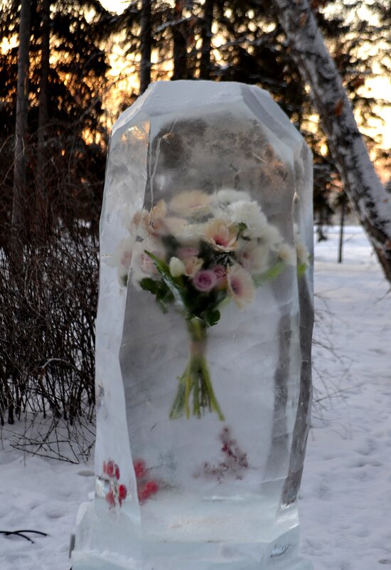 Цветы во льду - Savayr 