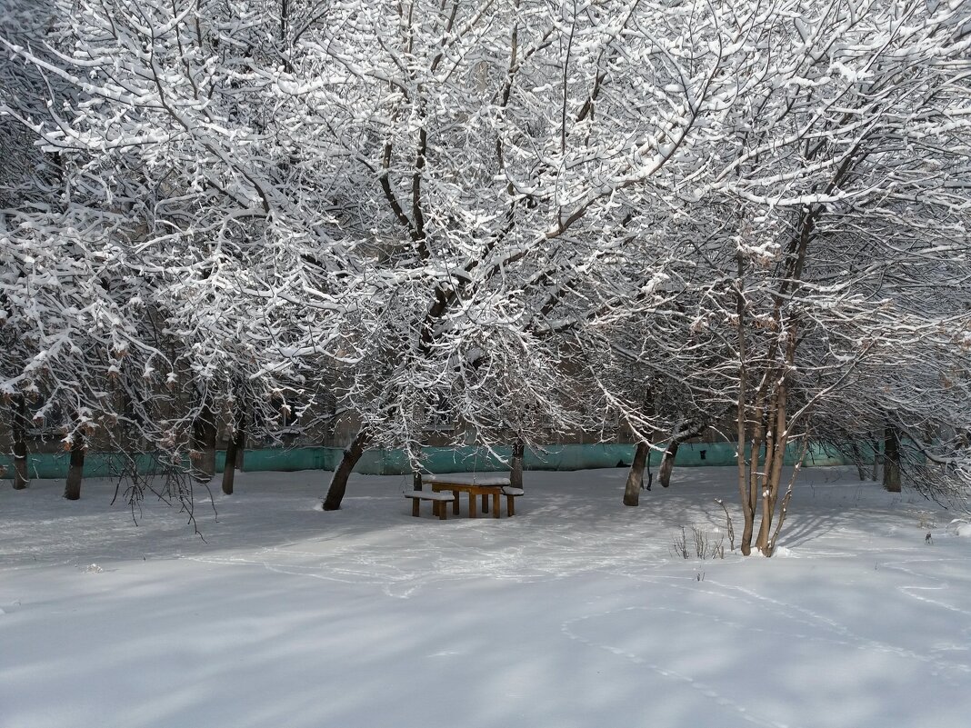 После снегопада во дворе - Galina Solovova