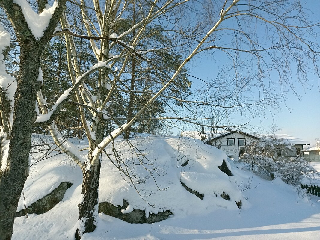 Стокгольм, Февраль, мороз и солнце.... - wea *