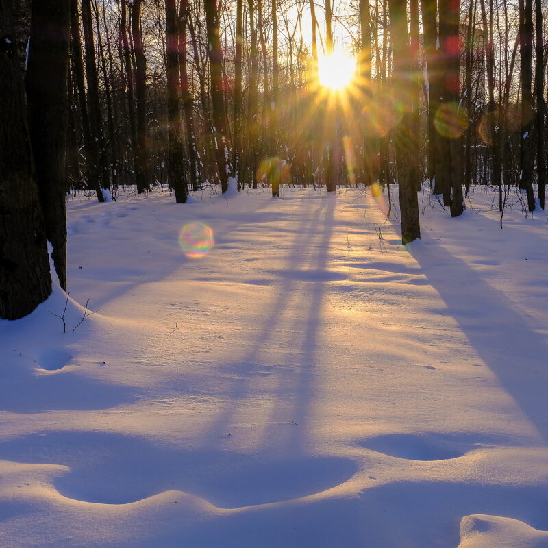 нежное прикосновение солнечных лучей к снегу - Георгий А