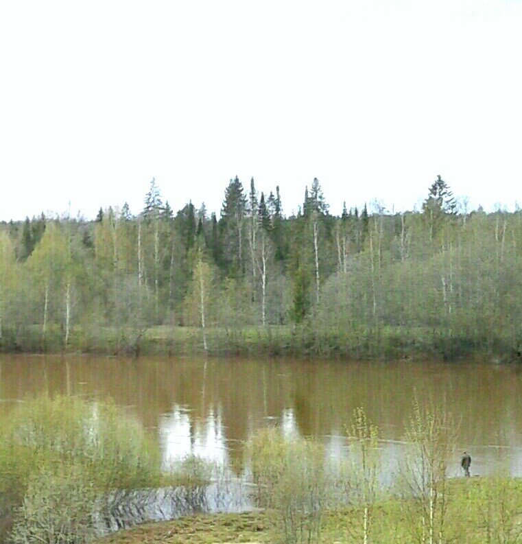 Река Яйва - Любовь Можар