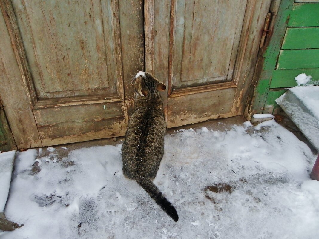 Открывай скорей, свои или скучно одной на улице . - Святец Вячеслав 