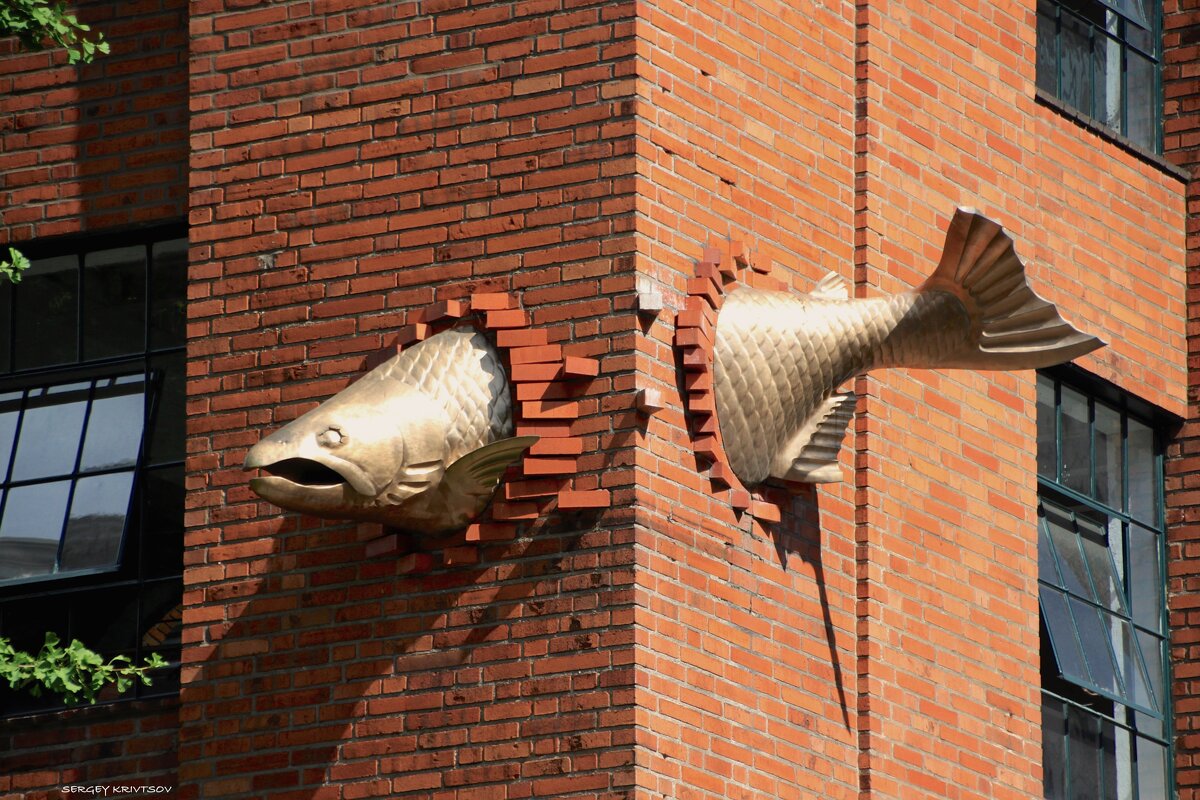 ...очень быстрая Золотая рыбка... - Sergey Krivtsov