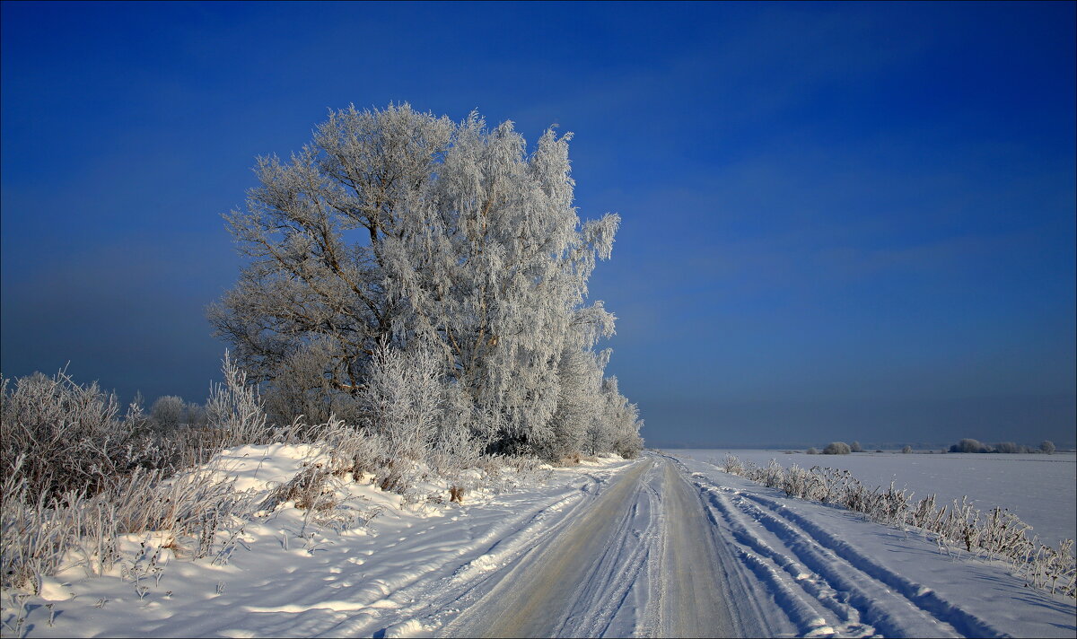 Зимний пейзаж - Александр Алексеенко