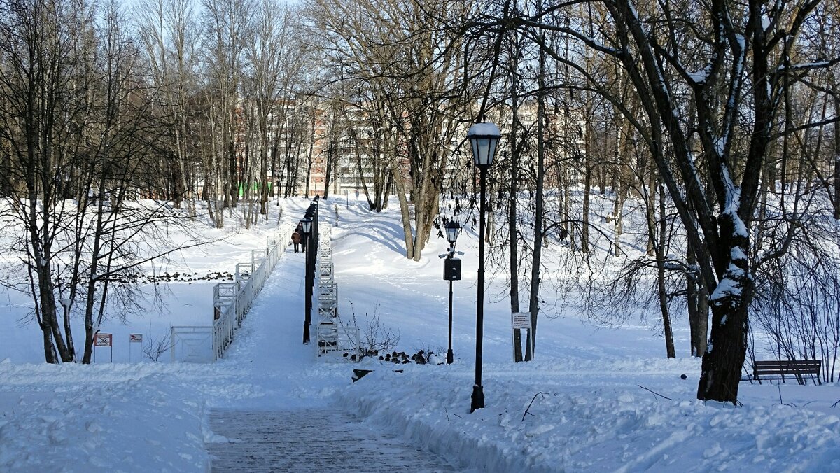 Репортаж из городского парка. - Милешкин Владимир Алексеевич 