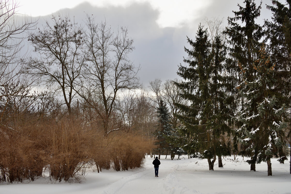 Прогулка в парке - Gera 