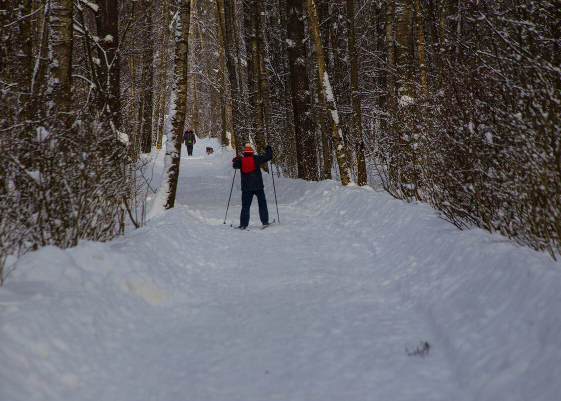 прогулка зимой на лыжах - Ринат Засовский