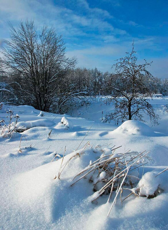 Морозный день в феврале - Сергей Курников