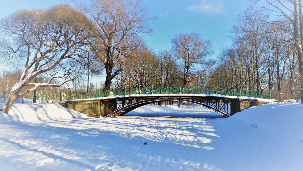 Картинки зимнего Парка... - Sergey Gordoff