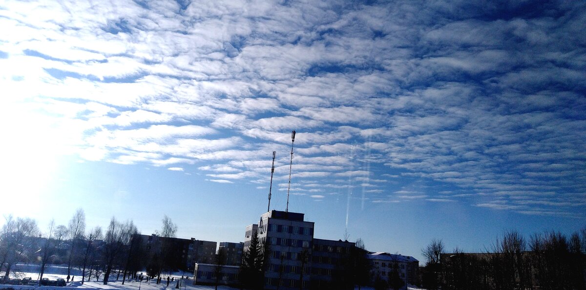 Стаи белых облаков на голубом февральском небе - Maryana Petrova