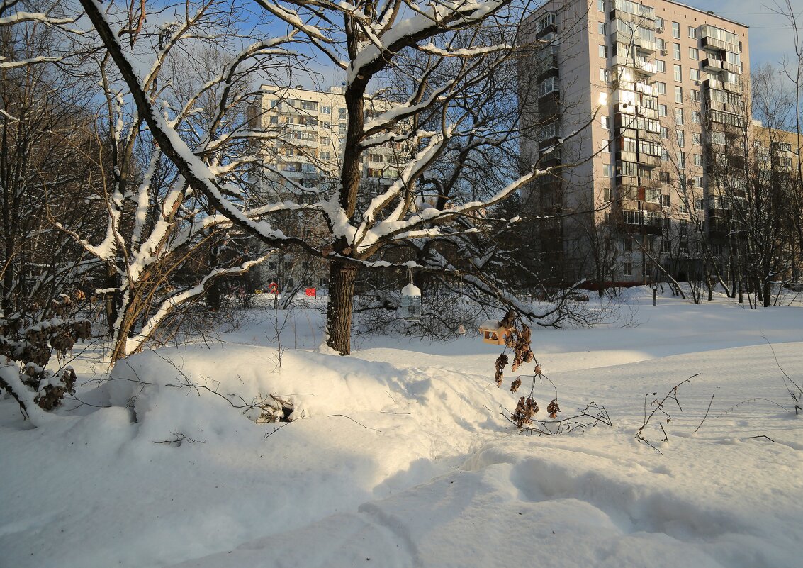 Солнечно - ZNatasha -