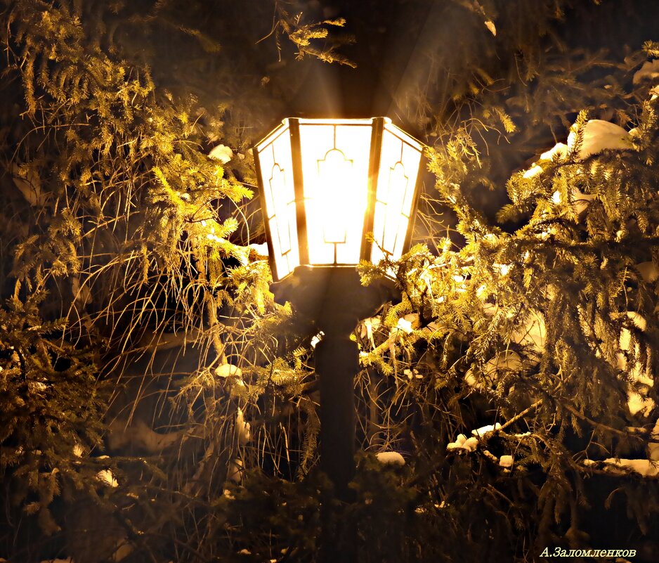 Когда качаются фонарики ночные.. - Андрей Заломленков