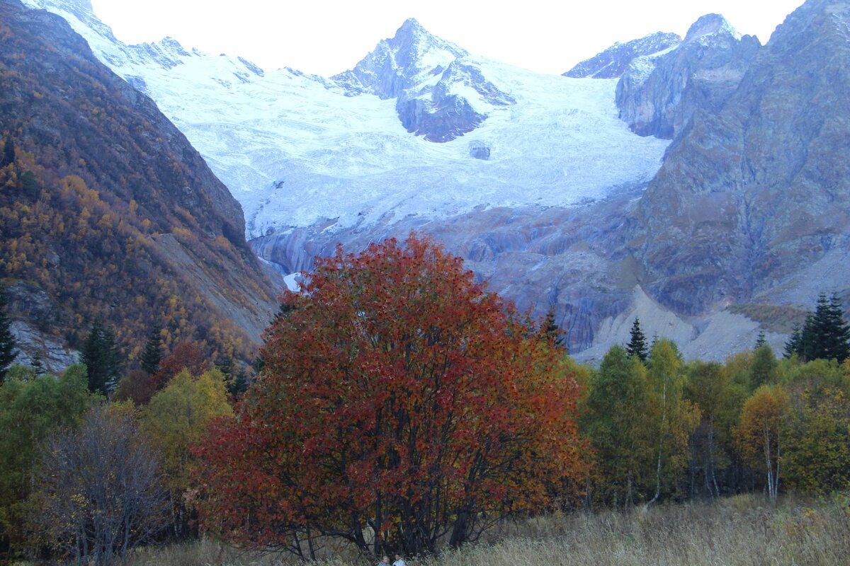 Осень в горах - Татьяна_Ш 