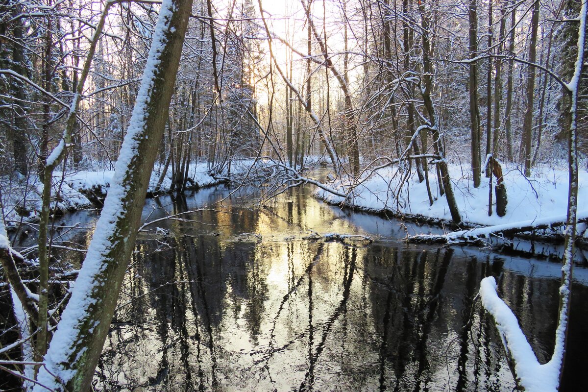 Играют в речной воде краски зимнего утра - Григорий охотник