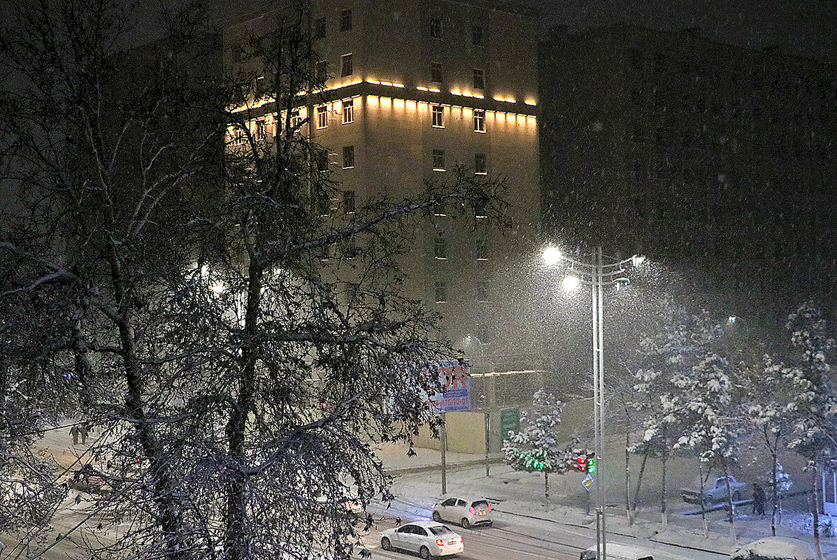 В Ташкенте снег (24 февраля) - Светлана 