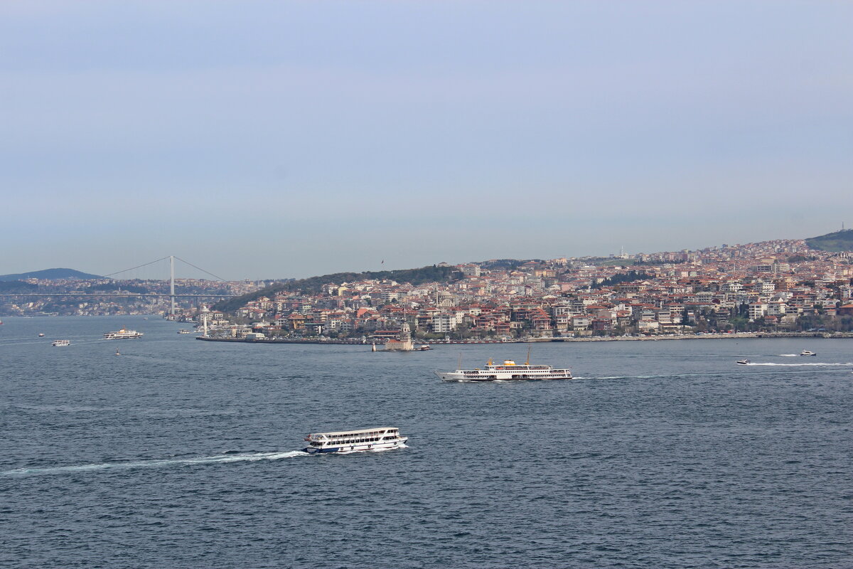 Вид на Стамбул из Топкопы - жанна janna