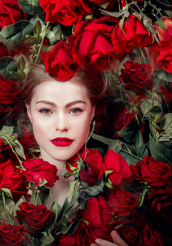 девушка в красных розах - Яна Пикулик