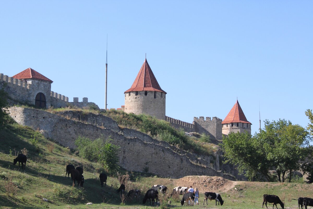 Старая крепость - Таня Фиалка
