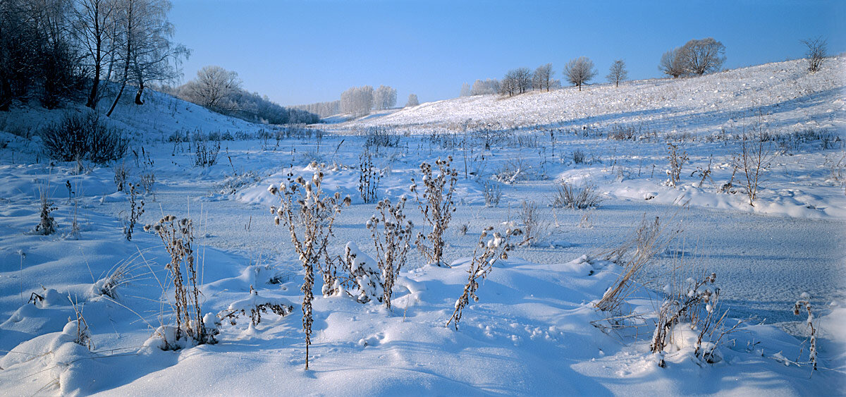 Морозный январь - Сергей Курников