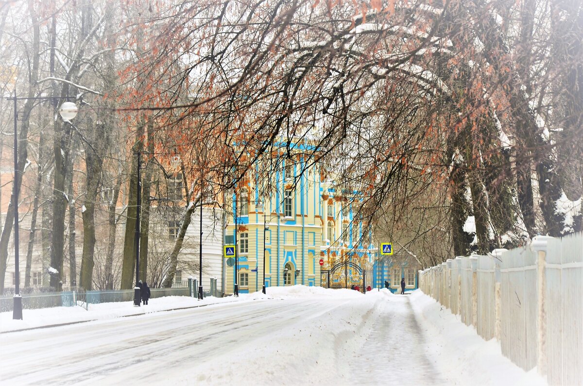 Зима в Царском Селе... - Sergey Gordoff