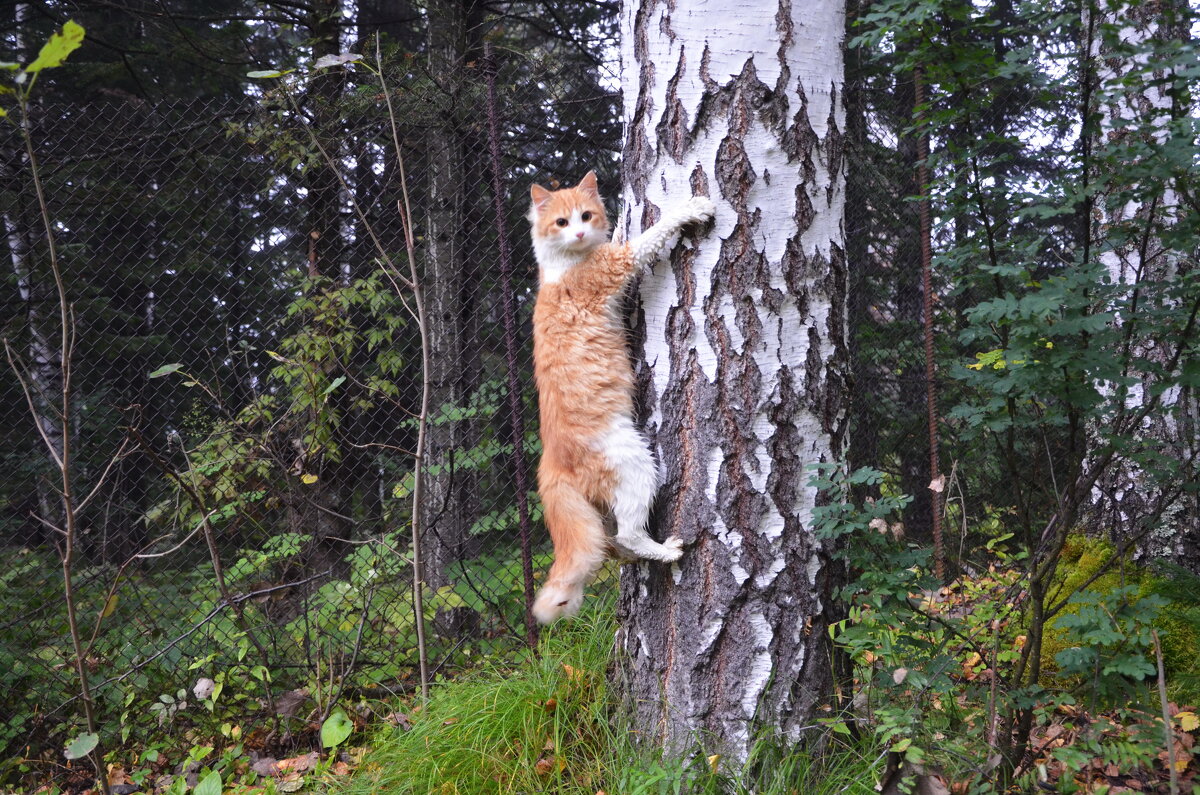 Сфоткай меня! - Галина 