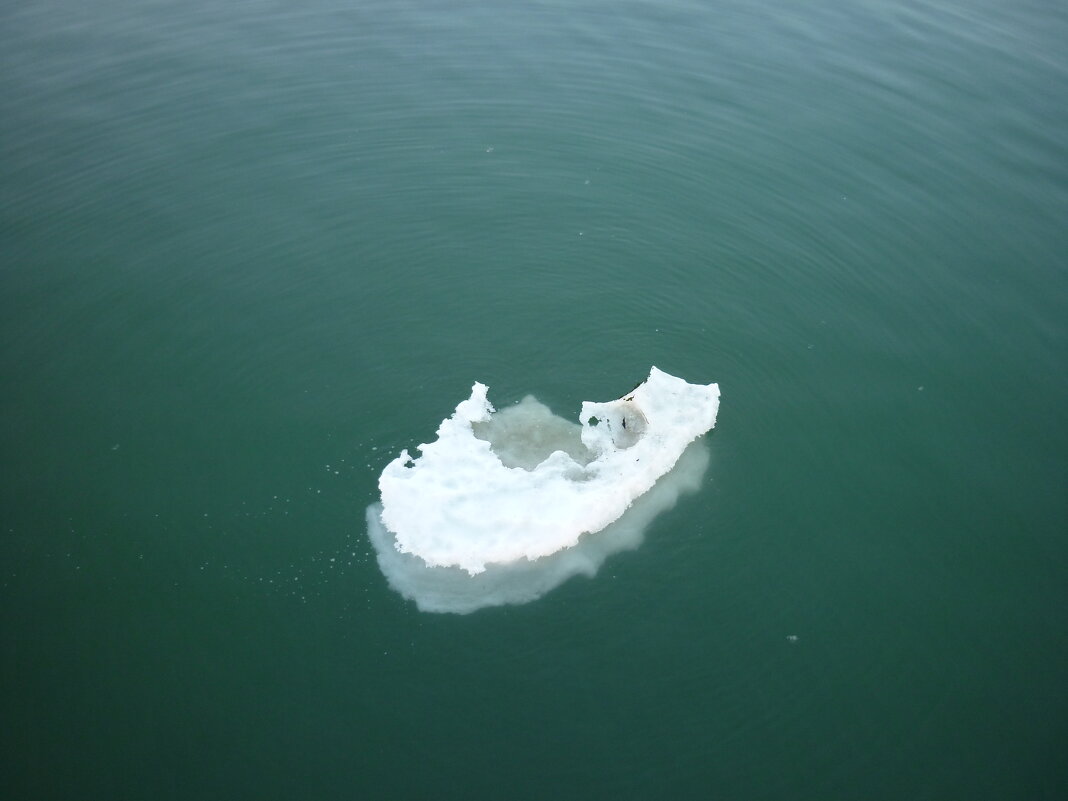просто льдинка в Балтийском море - Oxi --