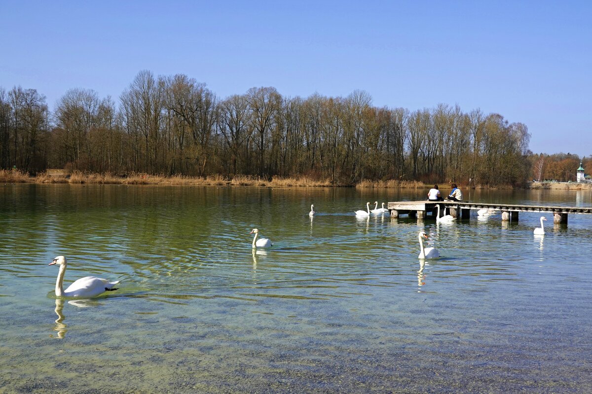 "Лебединое" озеро в феврале... - Galina Dzubina