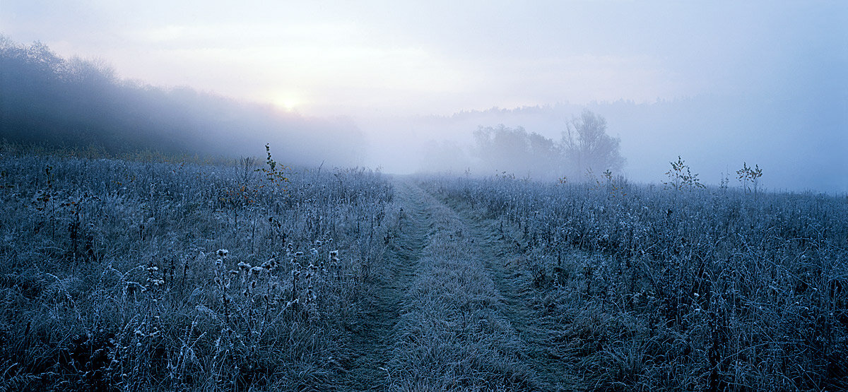 Туманное утро в октябре - Сергей Курников