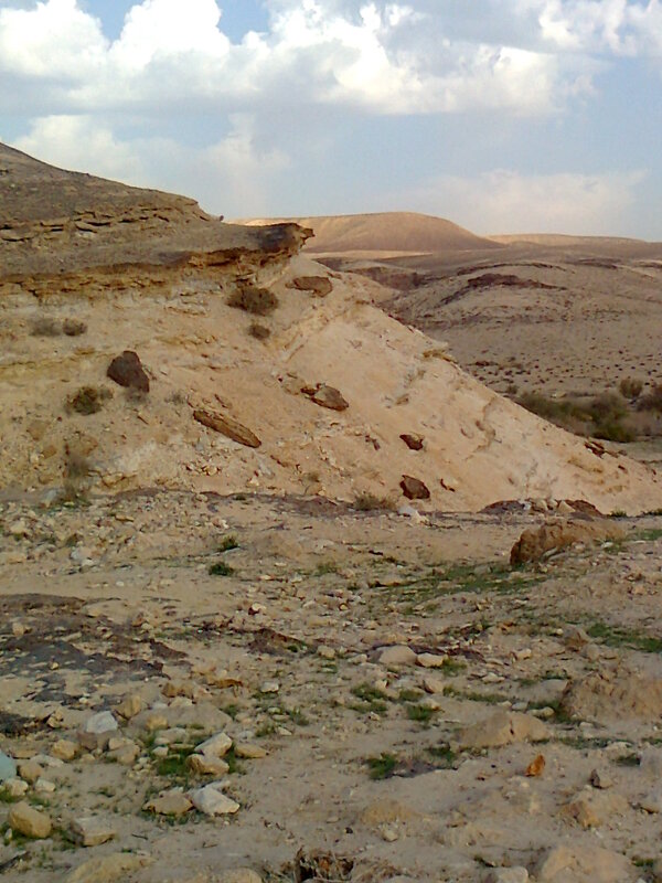 Пустыня Негев - Герович Лилия 