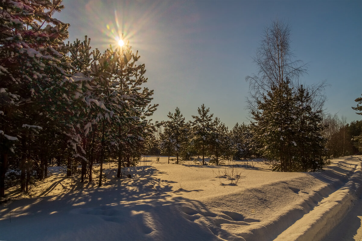 Солнце vs. Мороза # 10 - Андрей Дворников