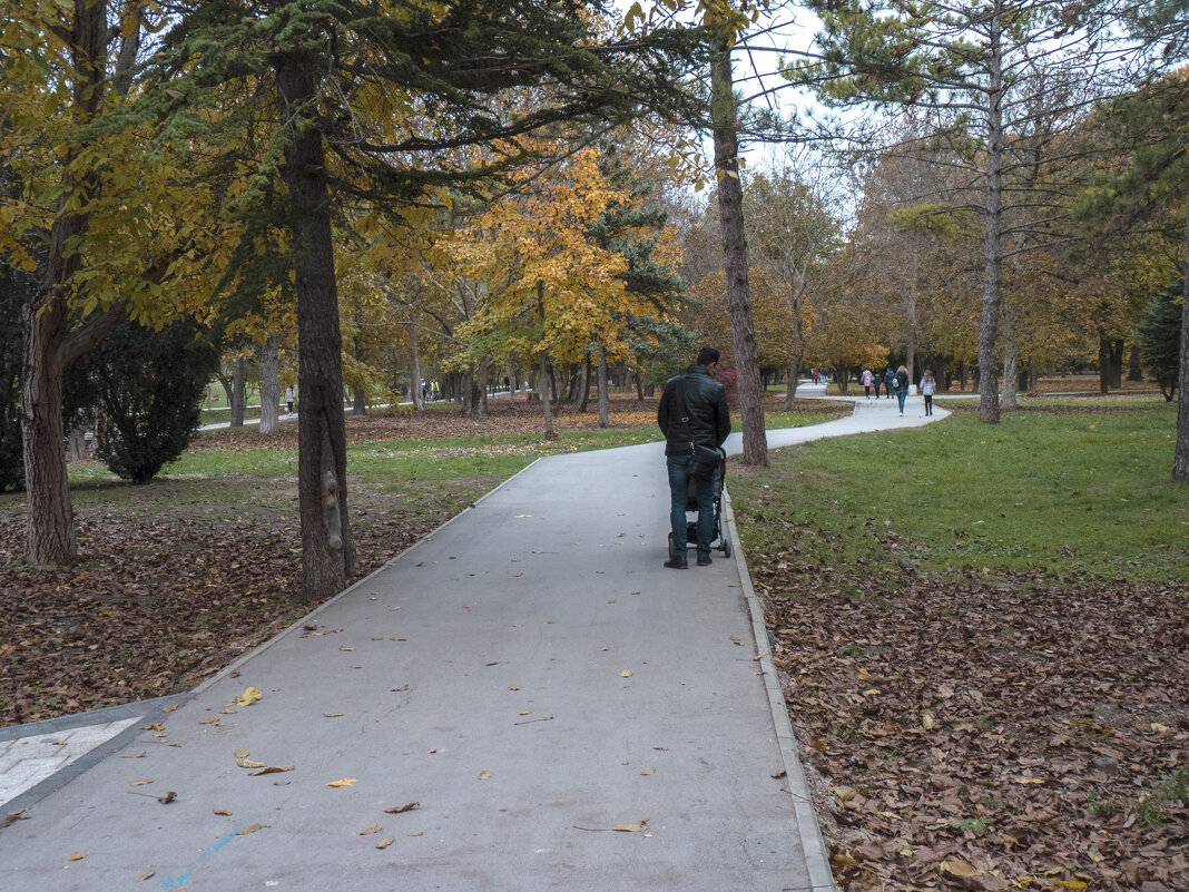 Осень в парке - Валентин Семчишин