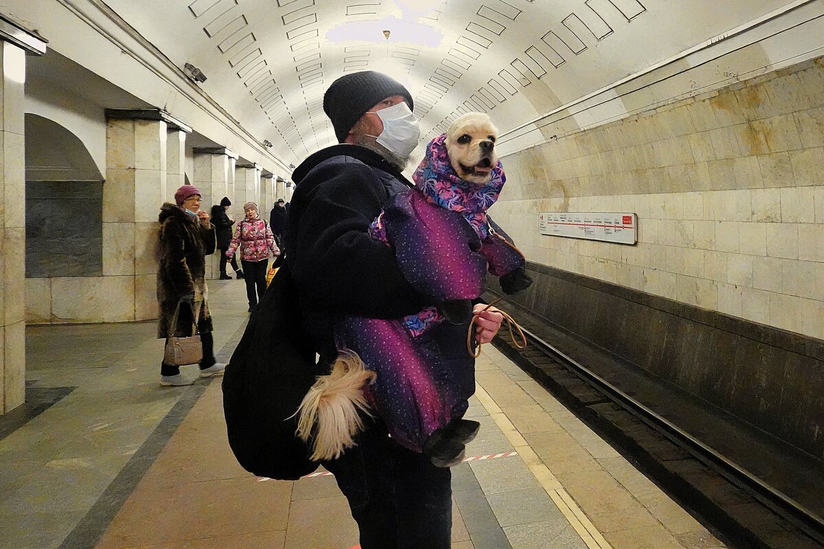 Случайный мой попутчик. - Татьяна Помогалова