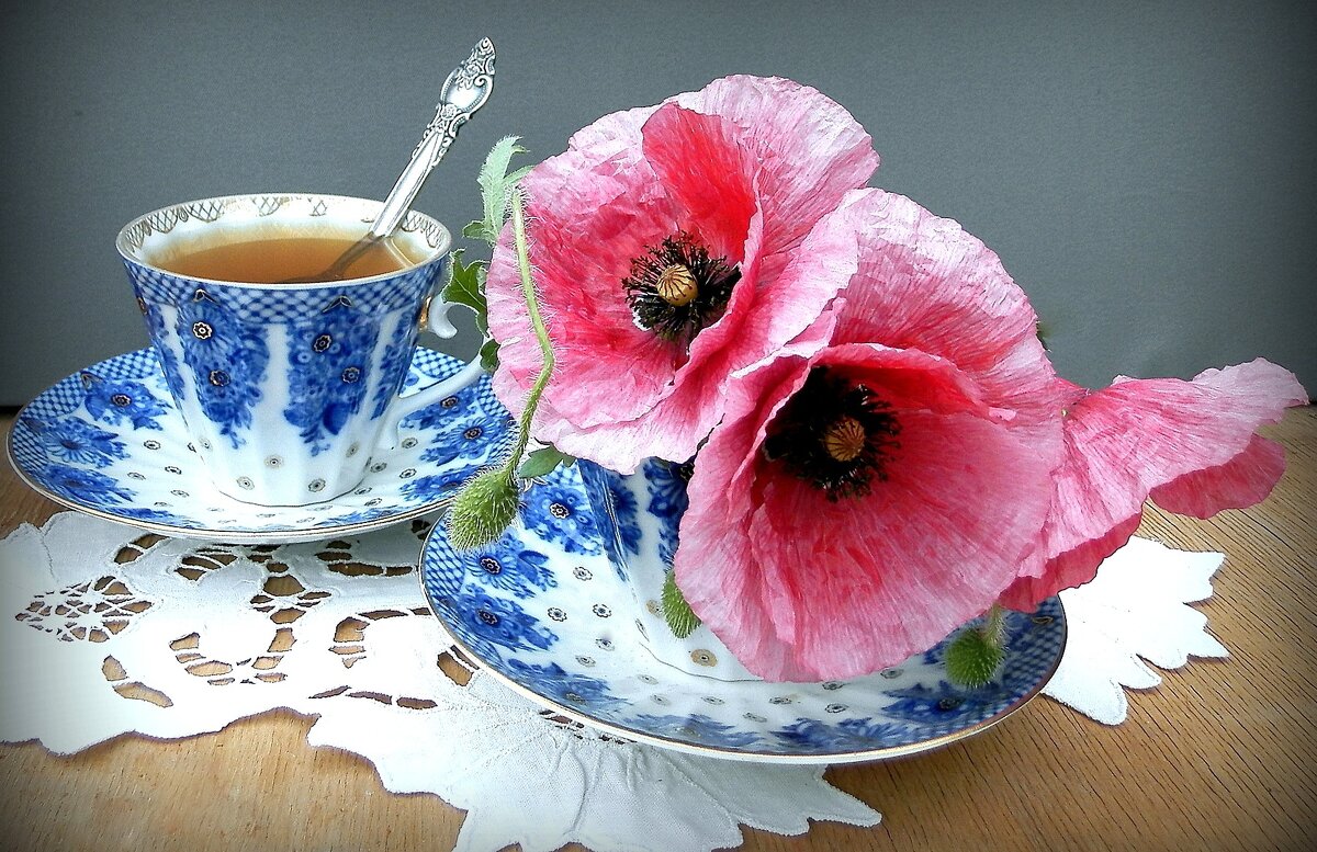 Когда тебя нет из чайной чашки твоей пьют воду цветы - TAMARA КАДАНОВА