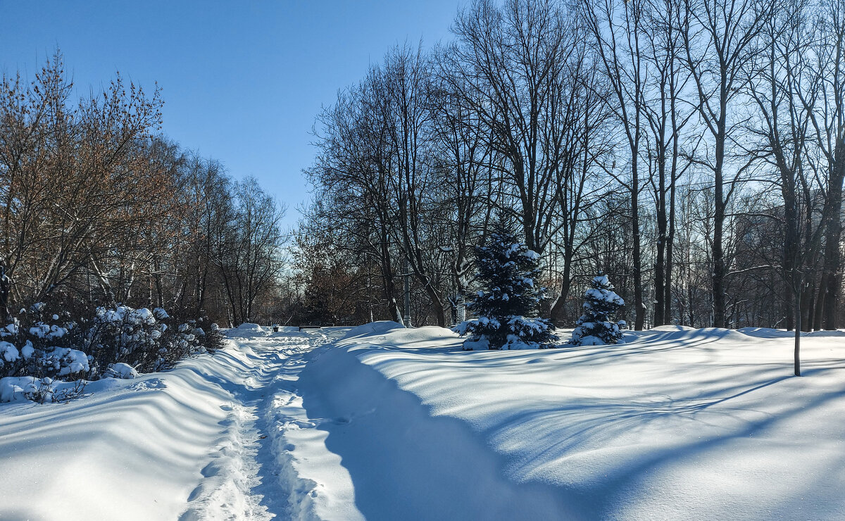 *** - Владимир Безбородов