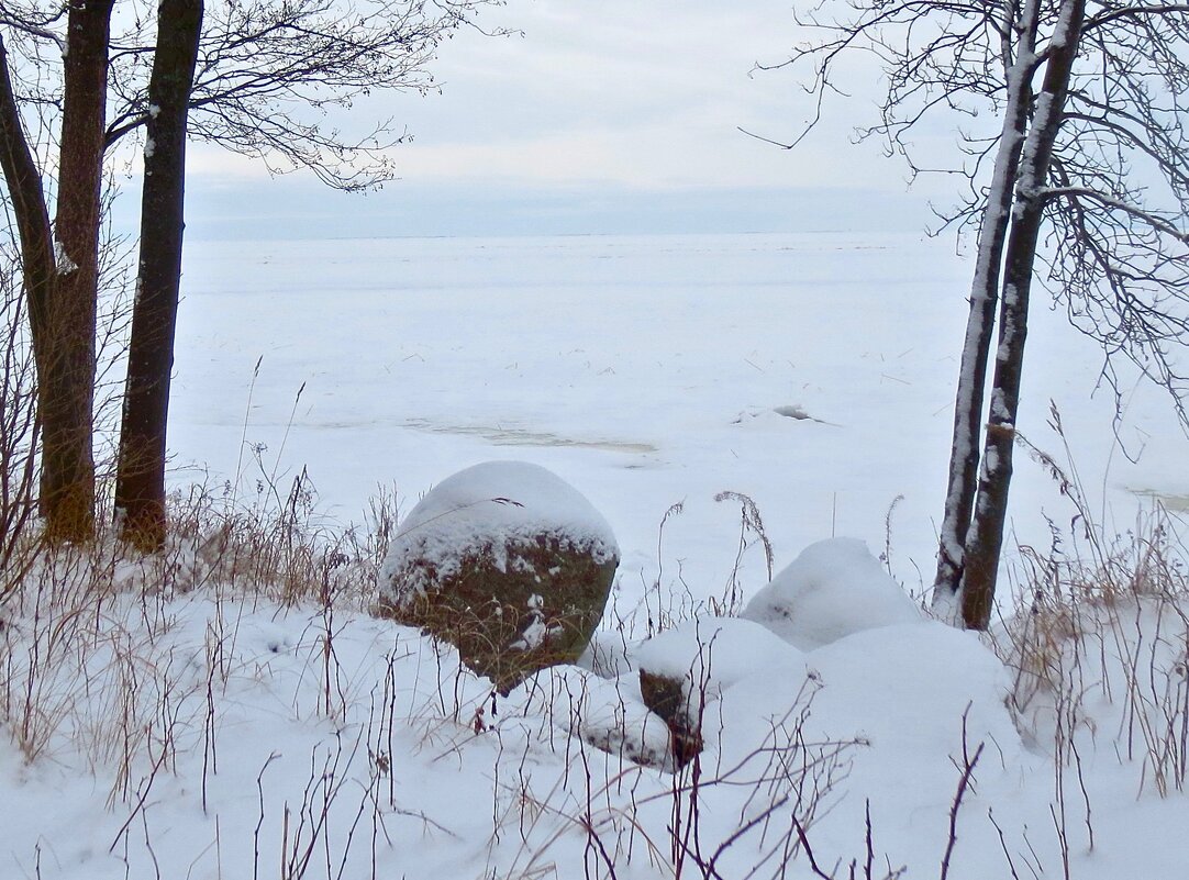 на зимовке - Елена 