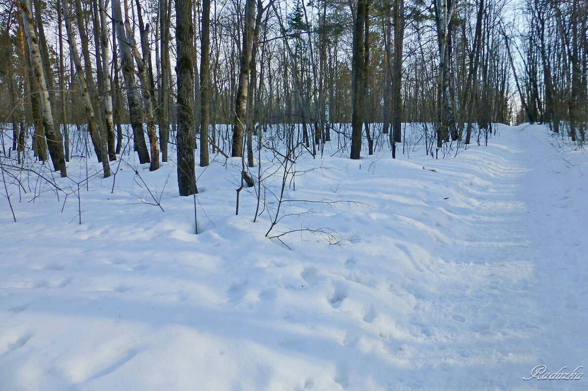 Снег в марте оседает - Raduzka (Надежда Веркина)