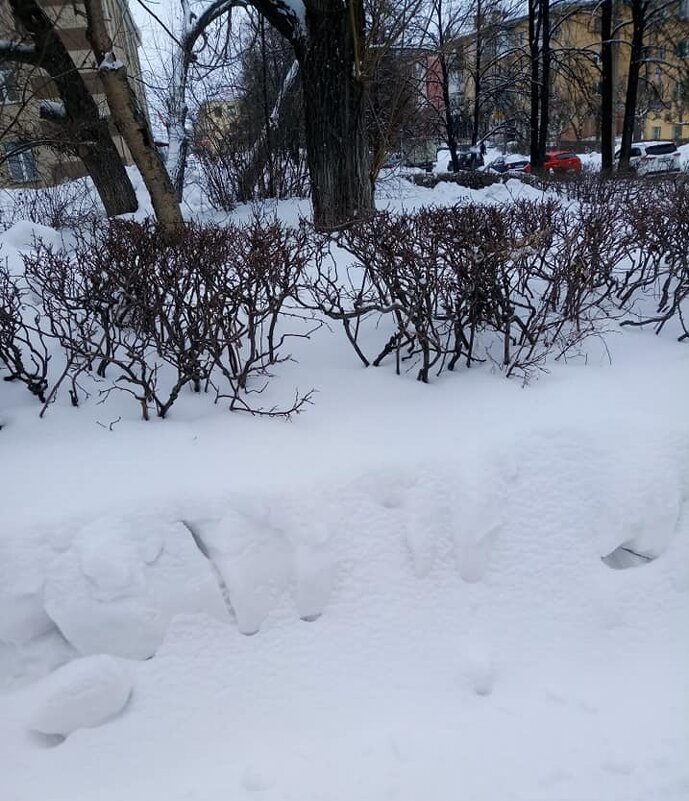 Еще зима нас радует - Борис 