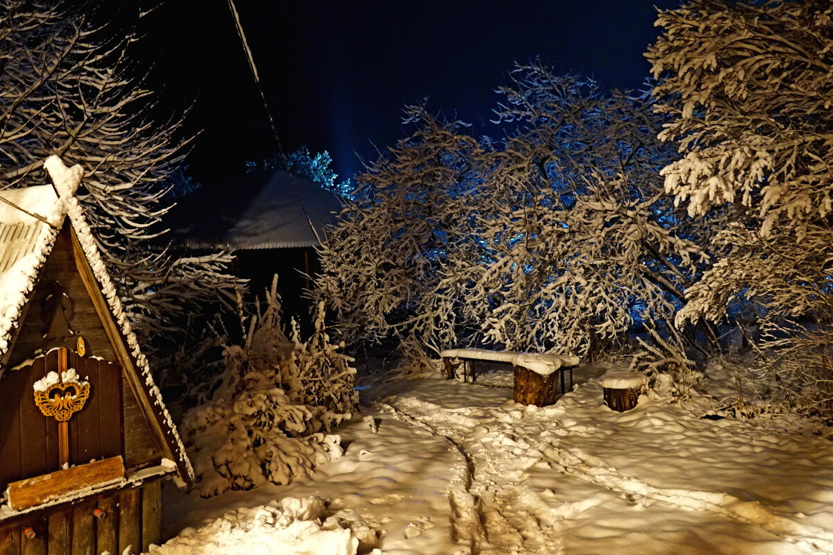 Зимний вечер в деревне - Анатолий Мо Ка