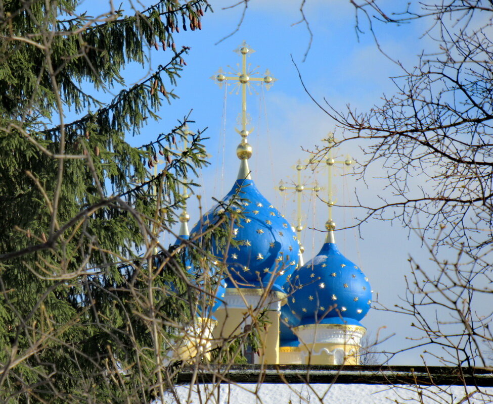 Главы Казанской церкви в Коломенском - Александр Чеботарь